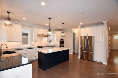 272 N Oaklawn Ave, Elmhurst, IL 60126 - photo 5