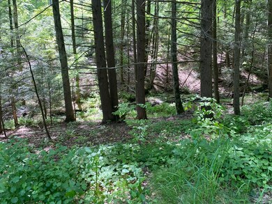 0 Mercy Anderson Rd unit 72987869, Shelburne, MA 01370 - photo 4