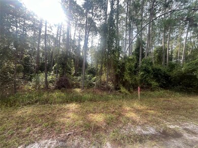 107 Pine Ave, Georgetown Cove, FL 32139 - photo 2