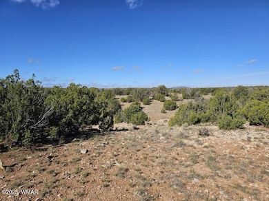 0 unit 258851, Heber, AZ 85928 - photo 3