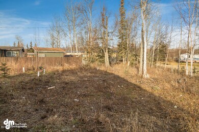 Yard_DMD_9390-SMALL