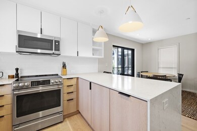 18 Adrian St unit 1, Somerville, MA 02143 - photo 5