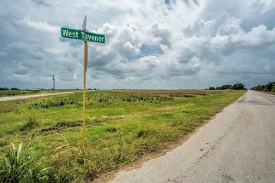 4726 W Tavener Plat H Rd, Beasley, TX 77417 - photo 7