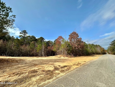 1 County Road 3122, McCool, MS 39108 - photo 4