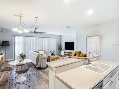 11464 52nd Ct E, Parrish, FL 34219 - photo 4