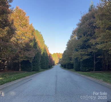 Beautiful tree-lined entrance