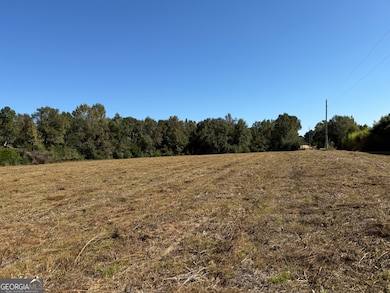 0011GH Wallace Buie Rd, Webb, AL 36376 - photo 6