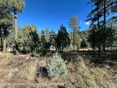 Lot 152 Del Monte Dr, Alto, NM 88312 - photo 6