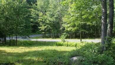 101 Quiet Ct, Dingmans Ferry, PA 18328 - photo 7