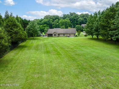 Large fenced in backyard