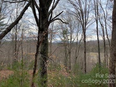 Lot 6 Theresa Terrace unit 6, Nebo, NC 28761 - photo 4