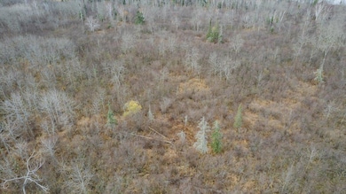8301 Camp Amnicon Rd Lot 2, Lakeside Township, WI 54874 - photo 3