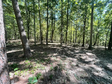 11.6 Acres Video Way, Newport, TN 37821 - photo 2