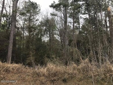 IMG_4418 8.5 acre