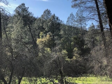 hilly portion of the property