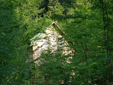 0 Thurston Pond Rd, Eaton, NH 03849 - photo 4