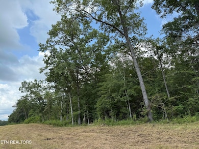 2571 Bellview Rd, Pikeville, TN 37367 - photo 3