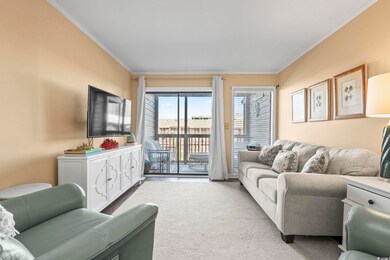 206 2nd Ave N unit 368, North Myrtle Beach, SC 29582 - photo 7