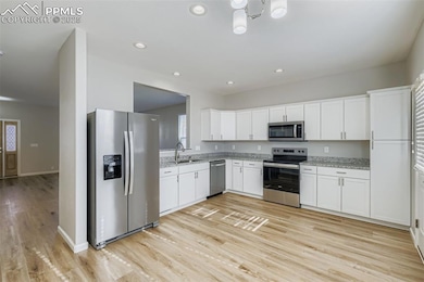 7393 Little Jimmy Grove, Fountain, CO 80817 - photo 5