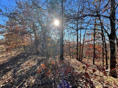 0 S 4507 Rd unit 2548217, Vian, OK 74962 - photo 7