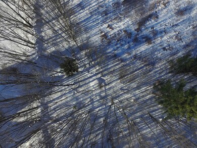 899 Common Rd, Waitsfield, VT 05673 - photo 5