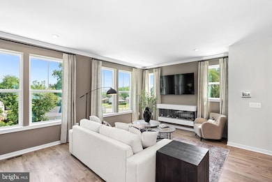 54320 Mystic Maroon Terrace, Ashburn, VA 20147 - photo 6