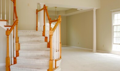 Entry view