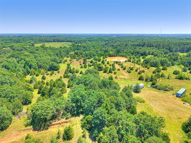 Aerial view of a forest