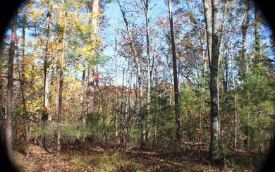 0 Oakridge Mtn Lt 9, Ellijay, GA 30536 - photo 2