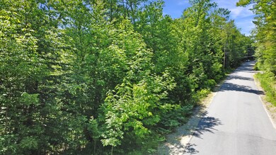 2A Old Sumner Rd, Buckfield, ME 04220 - photo 6