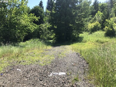 0 Lampa Ln, Myrtle Point, OR 97458 - photo 4