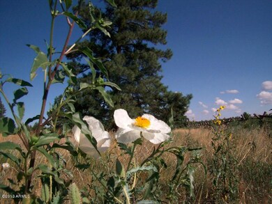 arizona_mountain_pines_property_acreage_