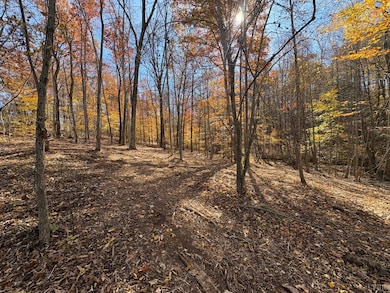 9-D Richmond Hwy, Amherst, VA 24521 - photo 3