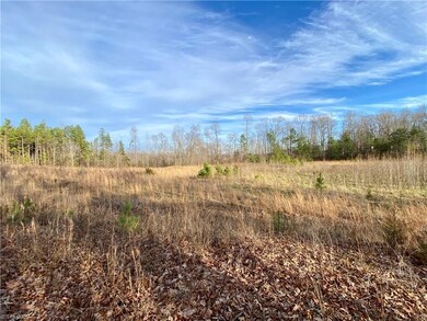 0 Pine Hill Rd, Asheboro, NC 27205 - photo 6