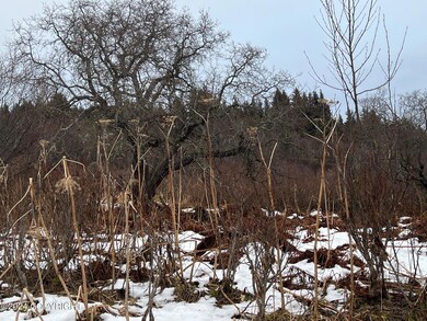 IMG_9939