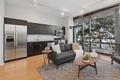 SoNo unit 204, Chicago, IL 60642 - photo 5