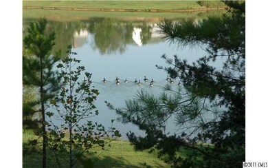 NA Luther Dr unit Lot 40, Iron Station, NC 28080 - photo 6