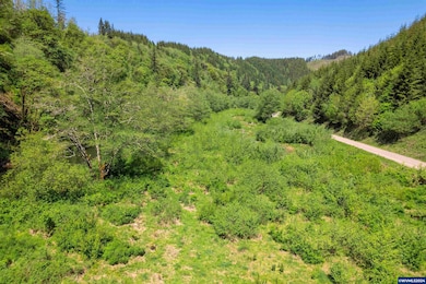 0 Harlan Rd, Toledo, OR 97391 - photo 6