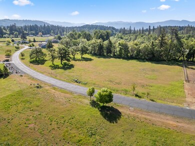 9_561 e forks cir - drone - 2