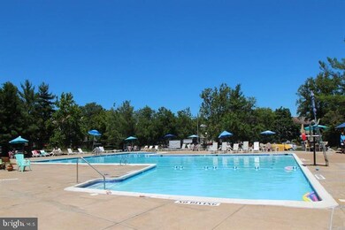 8102 W Point Dr, Springfield, VA 22153 - photo 5