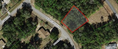 8619 N Dove Orchid Dr, Citrus Springs, FL 34434 - photo 6