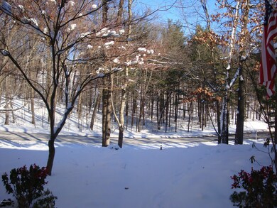 ViewFromFrontDoorLookingOut
