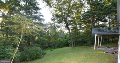 16371 Senedo Rd, Edinburg, VA 22824 - photo 5