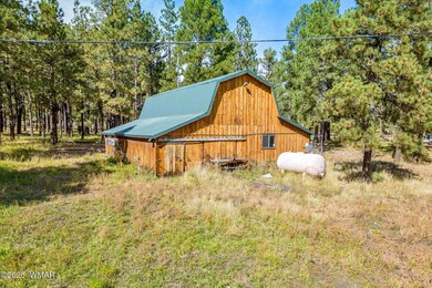 58 1120, Greer, AZ 85927 - photo 4