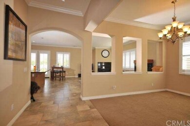 Modern open design