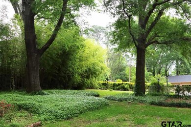 2726 2726 Sunnybrook, Tyler, TX 75701 - photo 6