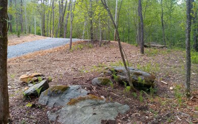 Additional View