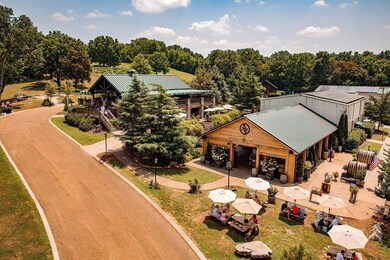 Welcome to Wine Country in beautiful Williamson County! Arrington Vineyards nearby.