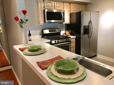 12233 Fairfield House Dr unit 202B, Fairfax, VA 22033 - photo 2