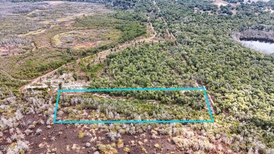 0 Pine Log Rd unit 782404, Chipley, FL 32428 - photo 7